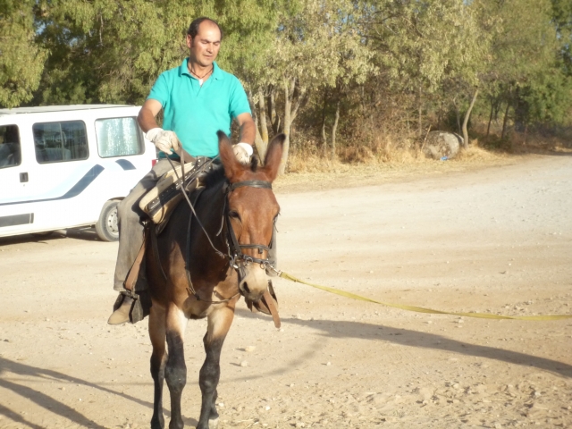 Ruta en burro
